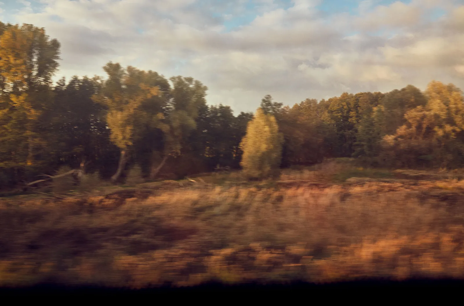 LEINEAUE, 160 X 106 CM, C-PRINT, 2019