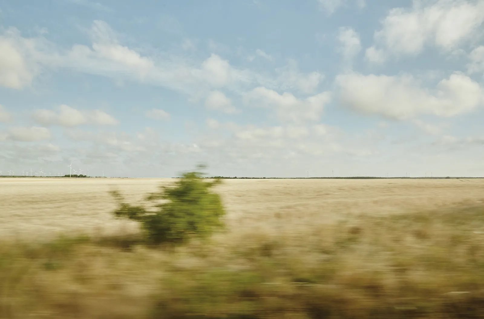 ZAHNA ELSTER, 60 X 90 CM, C-PRINT, 2019