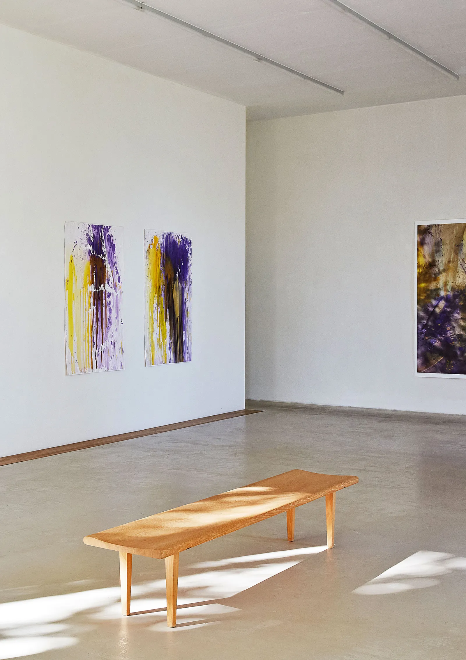 Installation view of Claudia Klein, Natural Metamorphosis