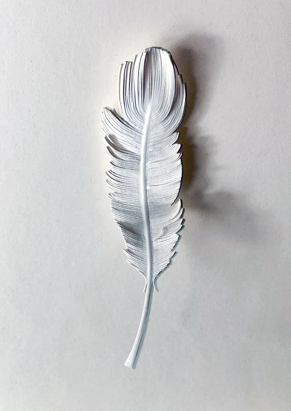 White leather feather on a wall