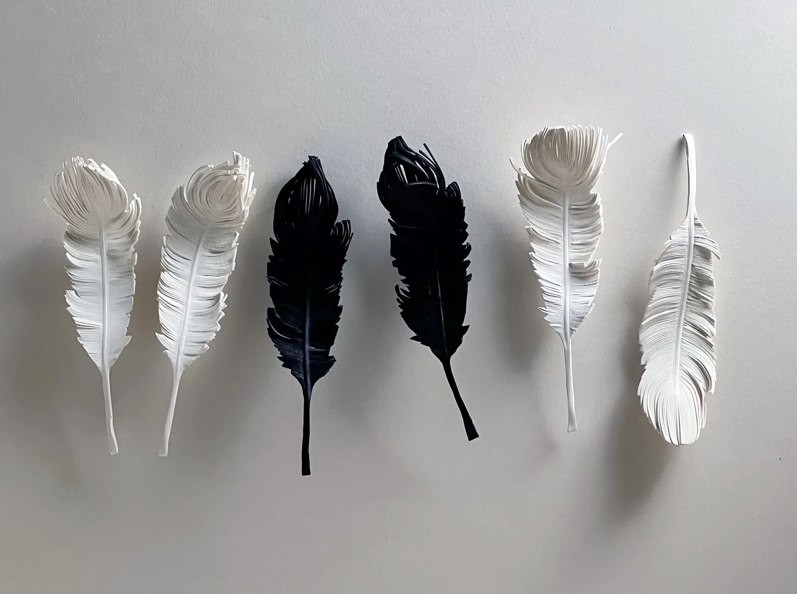 Row of black and white leather feathers