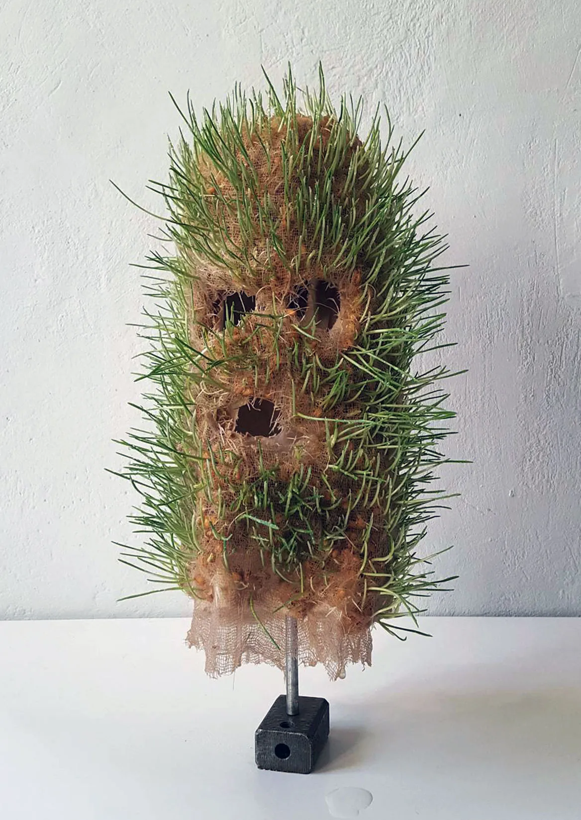 ROGGEN MASK (FOR SULPHUR), DATE: 2017, MATERIALS: COTTON, ROGGEN GRAIN (RYE)