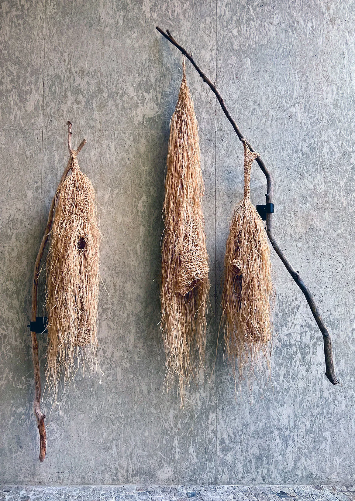Three raffia nests hanging from a branch