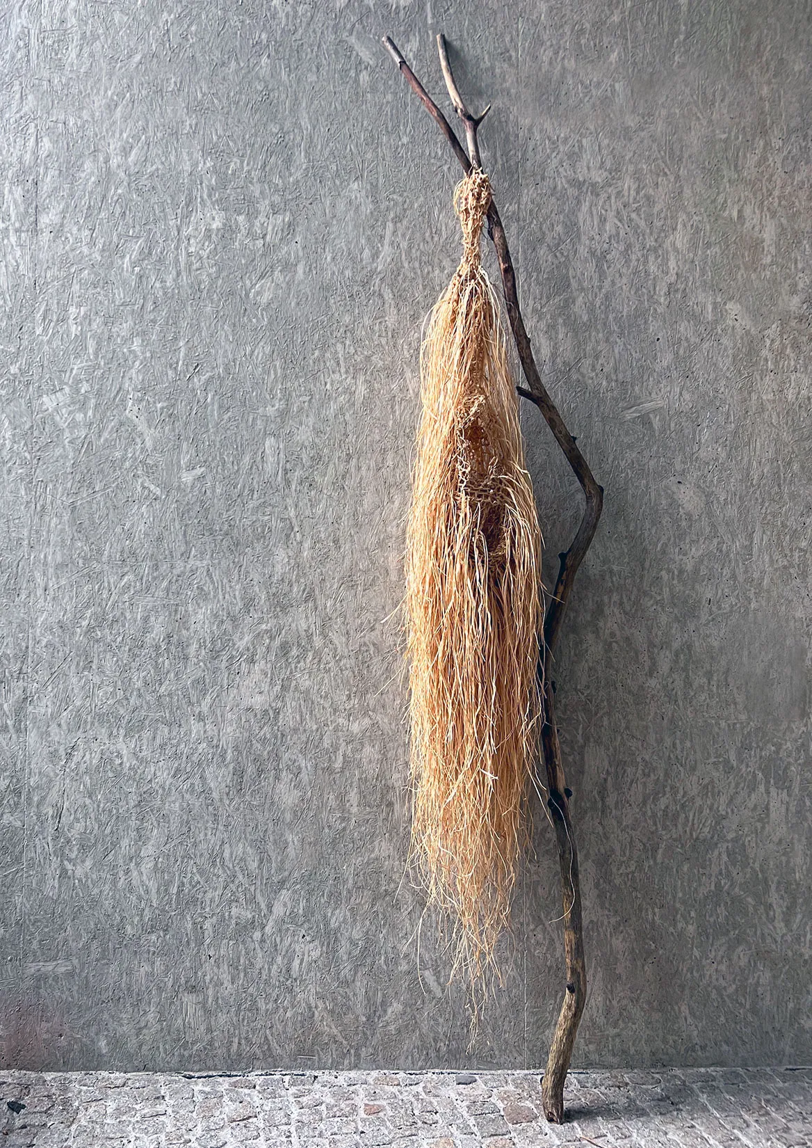 Raffia nest hanging from a branch