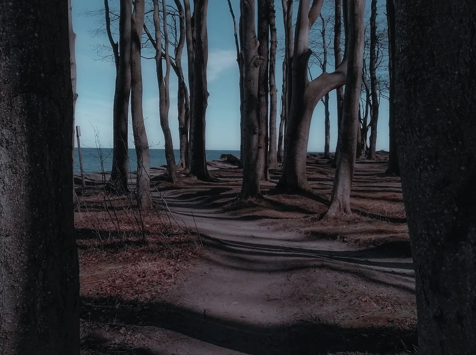 HEILIGENDAMM_08²1