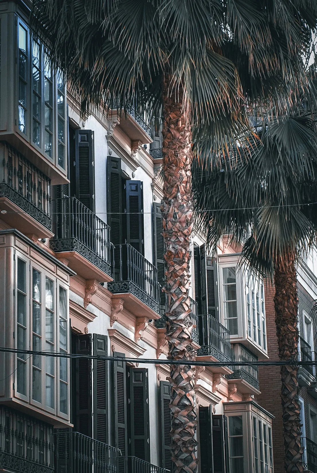 MALAGA_05²3_5